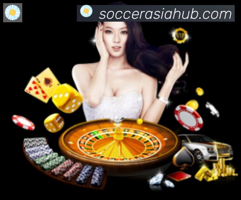 2026世界杯买球入口全站App